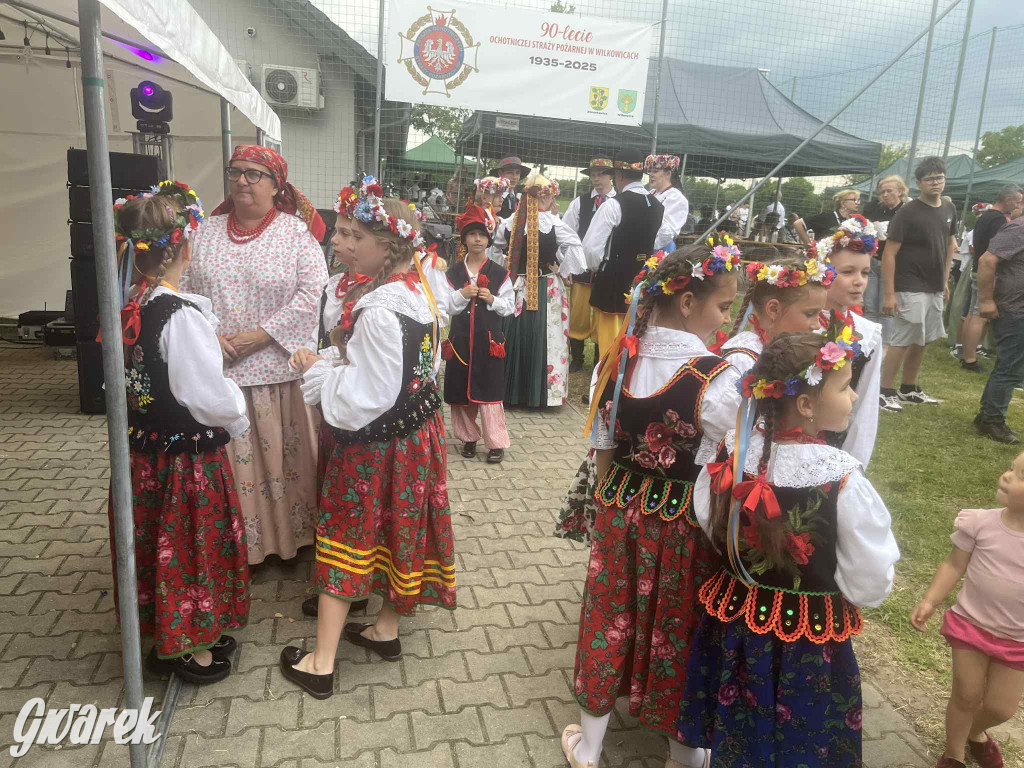 Druhowie z Wilkowic świętują jubileusz 90-lecia