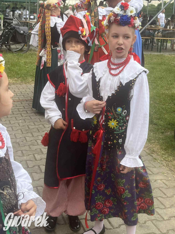 Druhowie z Wilkowic świętują jubileusz 90-lecia