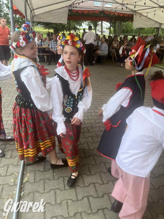 Druhowie z Wilkowic świętują jubileusz 90-lecia