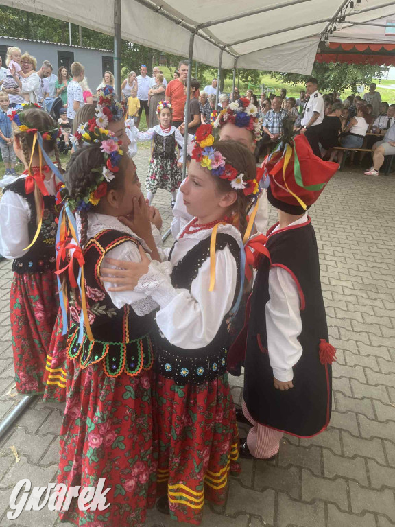 Druhowie z Wilkowic świętują jubileusz 90-lecia