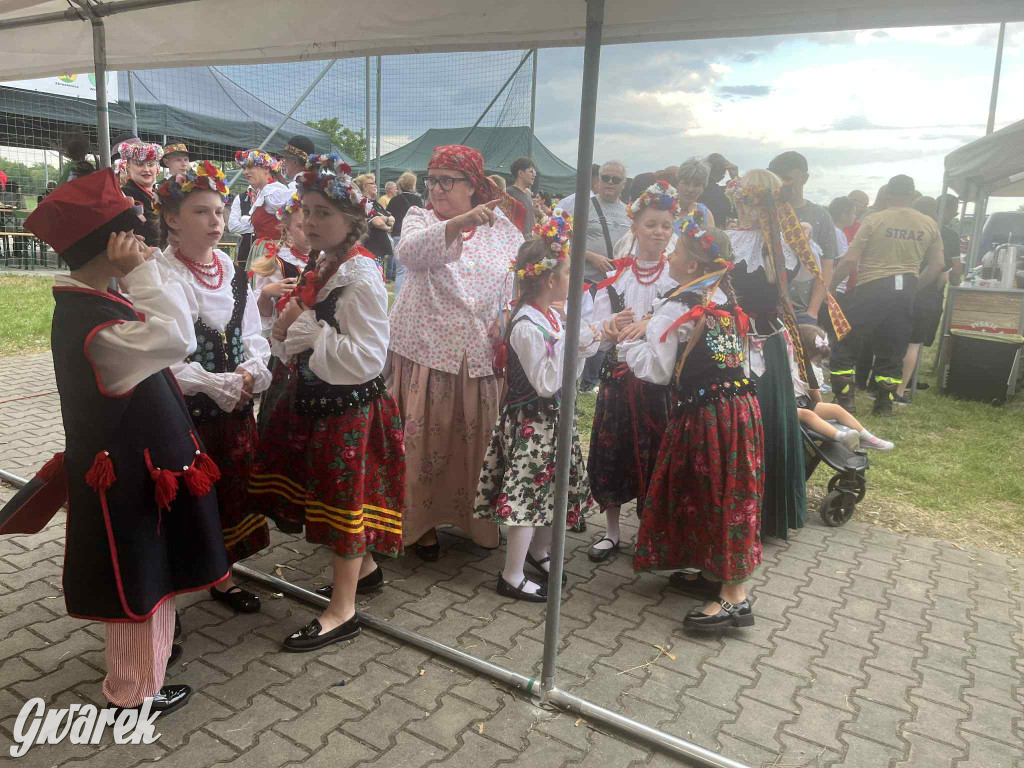 Druhowie z Wilkowic świętują jubileusz 90-lecia