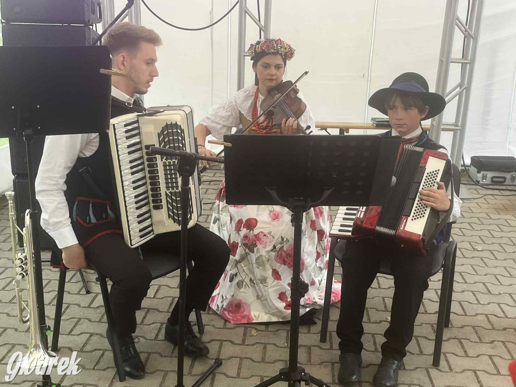 Druhowie z Wilkowic świętują jubileusz 90-lecia