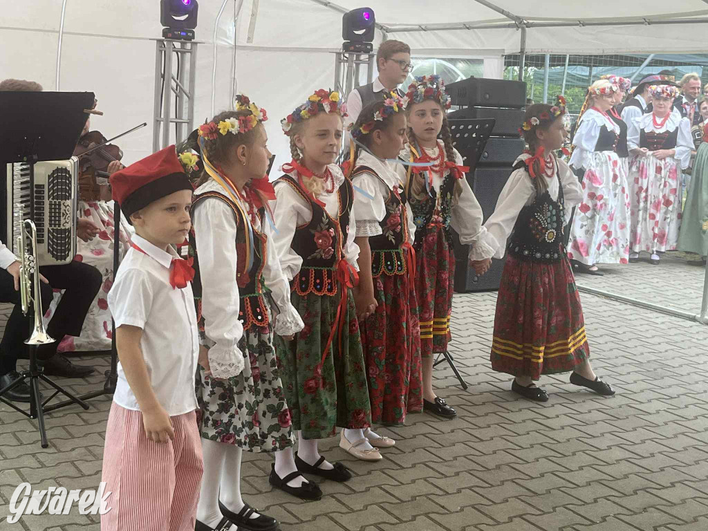 Druhowie z Wilkowic świętują jubileusz 90-lecia