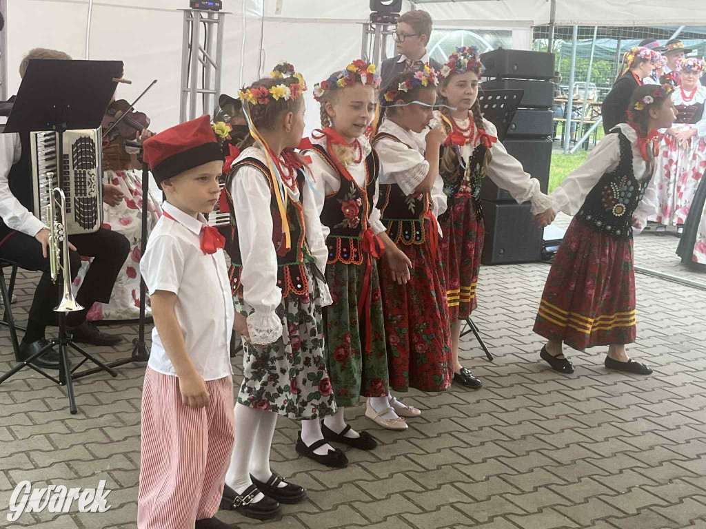 Druhowie z Wilkowic świętują jubileusz 90-lecia