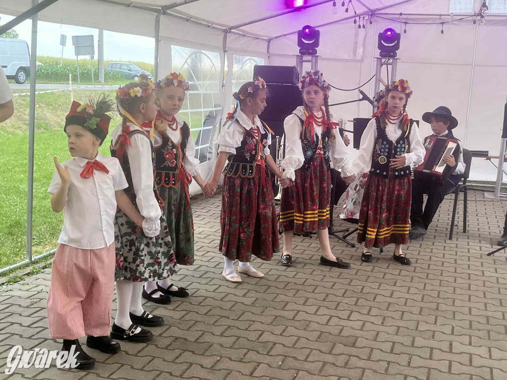 Druhowie z Wilkowic świętują jubileusz 90-lecia