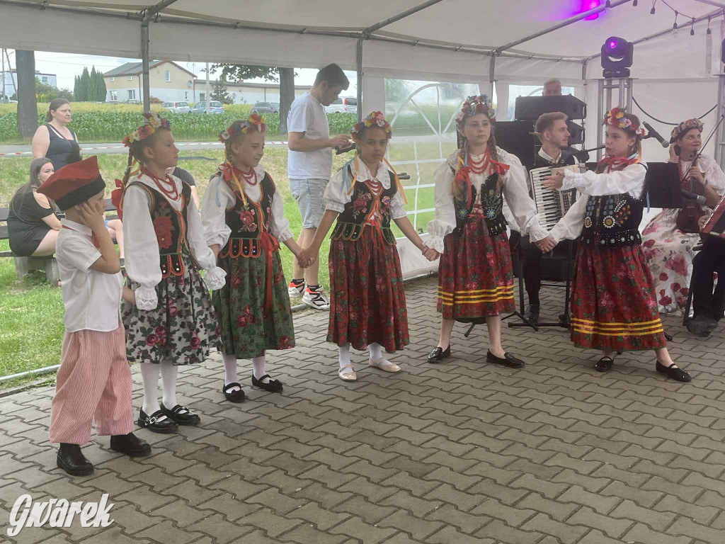 Druhowie z Wilkowic świętują jubileusz 90-lecia