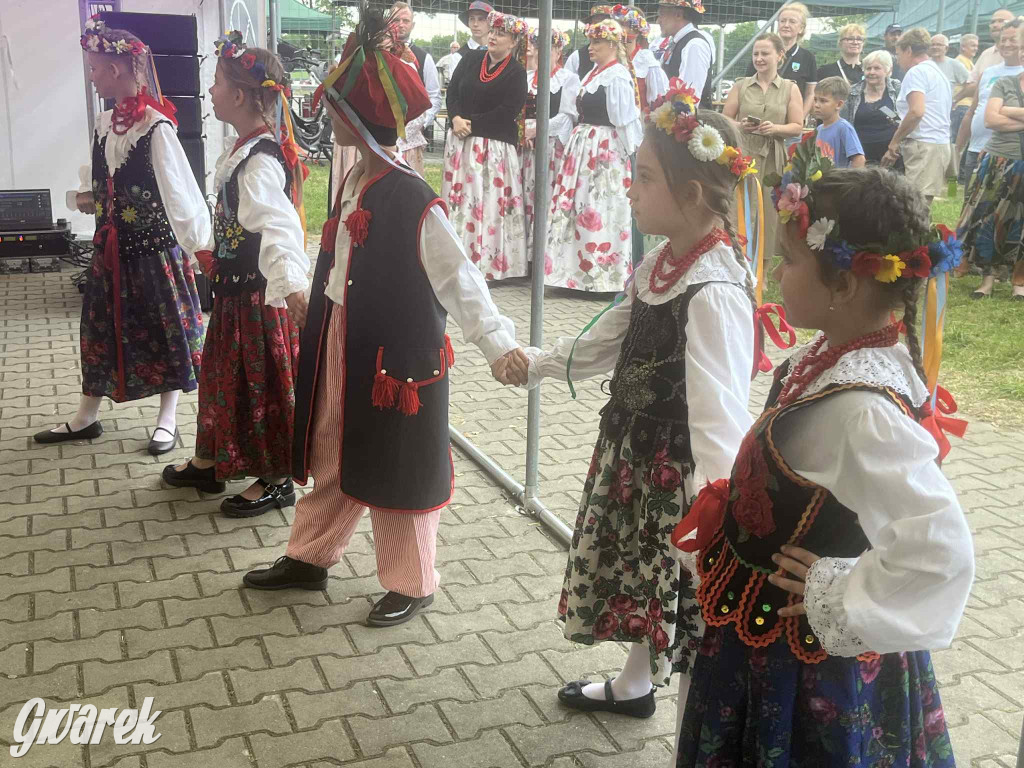 Druhowie z Wilkowic świętują jubileusz 90-lecia