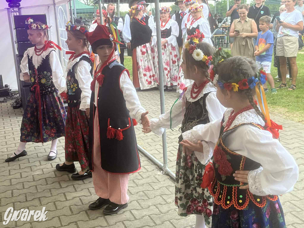 Druhowie z Wilkowic świętują jubileusz 90-lecia