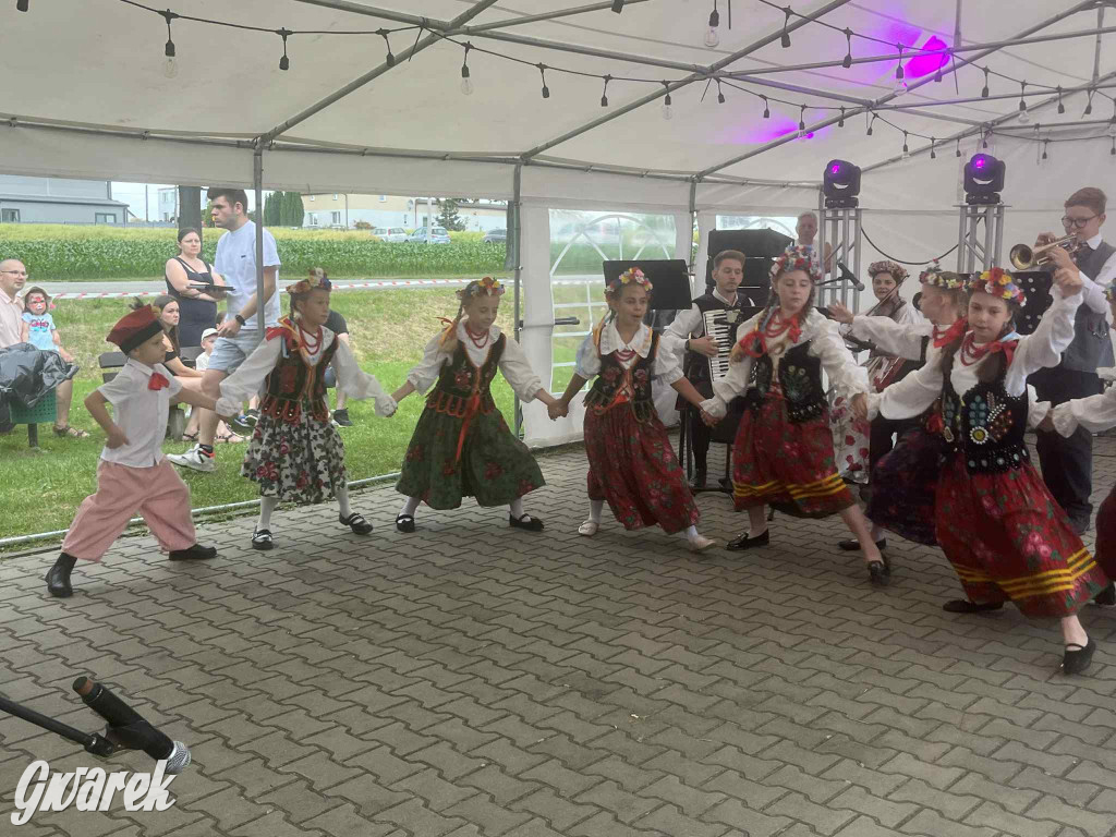 Druhowie z Wilkowic świętują jubileusz 90-lecia