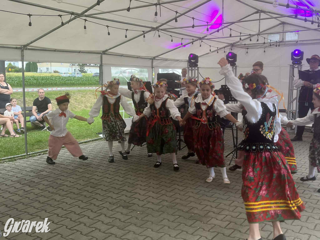 Druhowie z Wilkowic świętują jubileusz 90-lecia