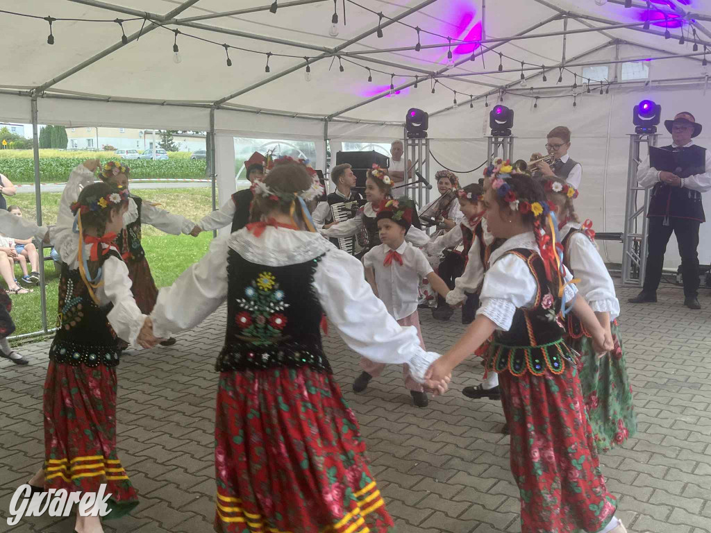 Druhowie z Wilkowic świętują jubileusz 90-lecia