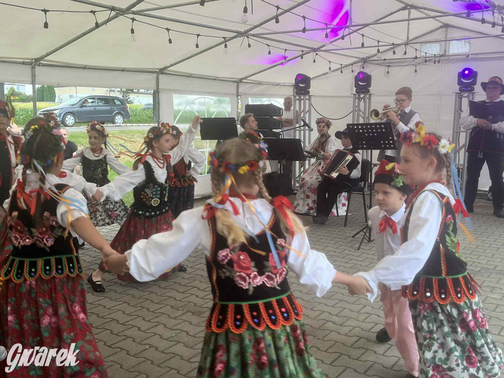 Druhowie z Wilkowic świętują jubileusz 90-lecia