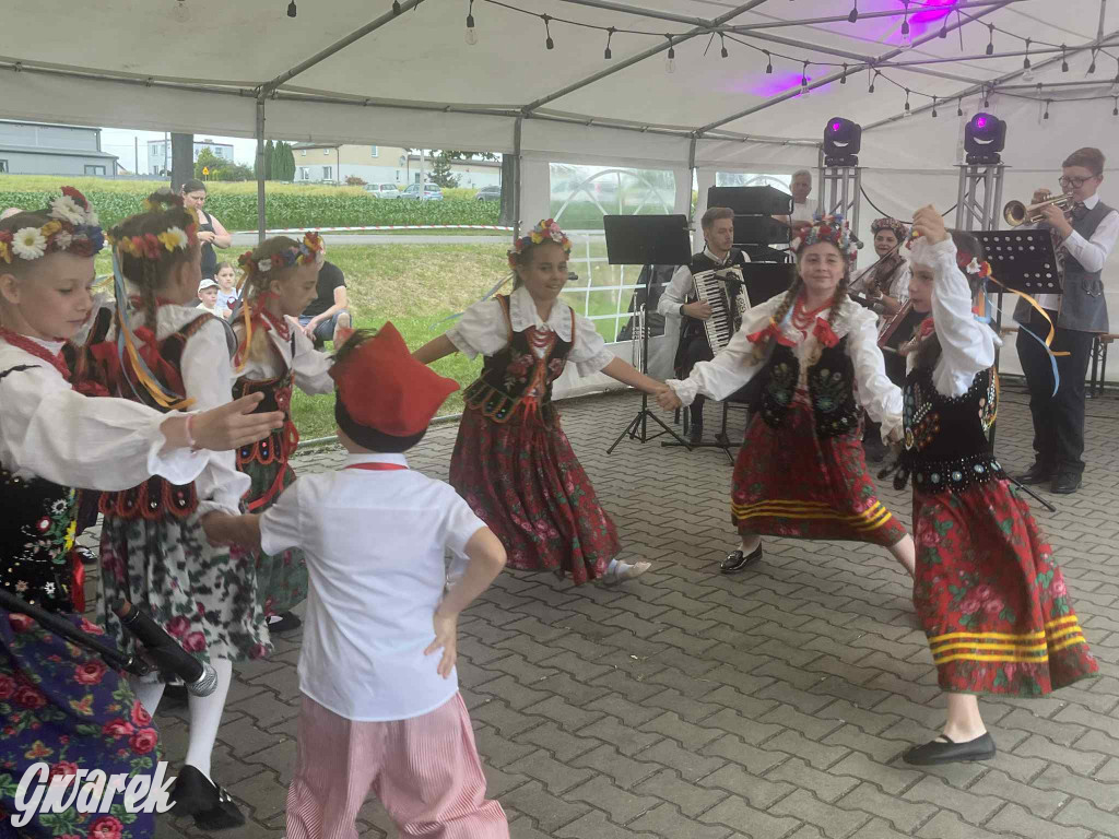 Druhowie z Wilkowic świętują jubileusz 90-lecia