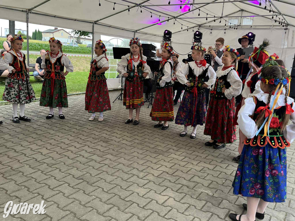 Druhowie z Wilkowic świętują jubileusz 90-lecia