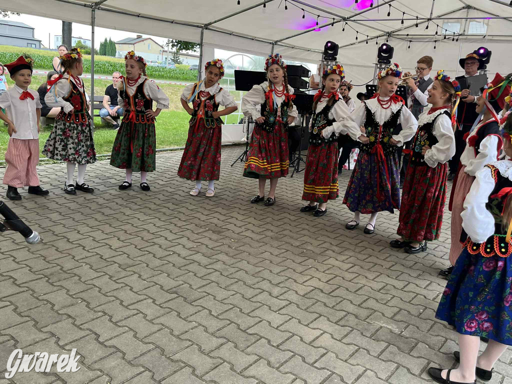 Druhowie z Wilkowic świętują jubileusz 90-lecia