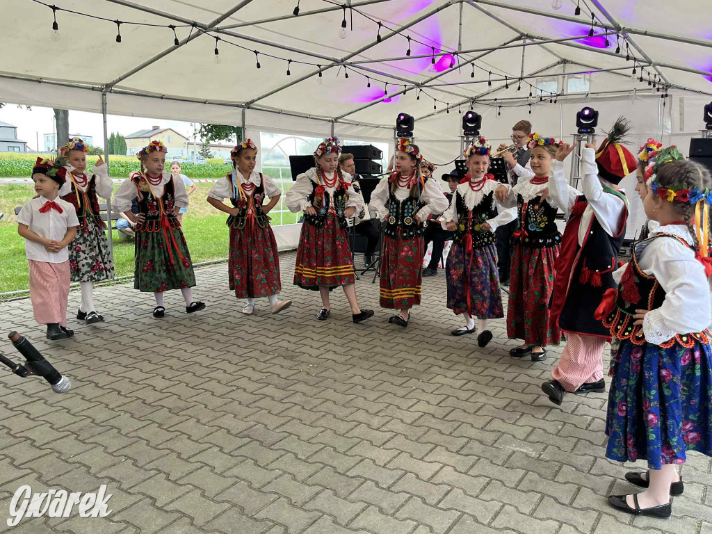 Druhowie z Wilkowic świętują jubileusz 90-lecia