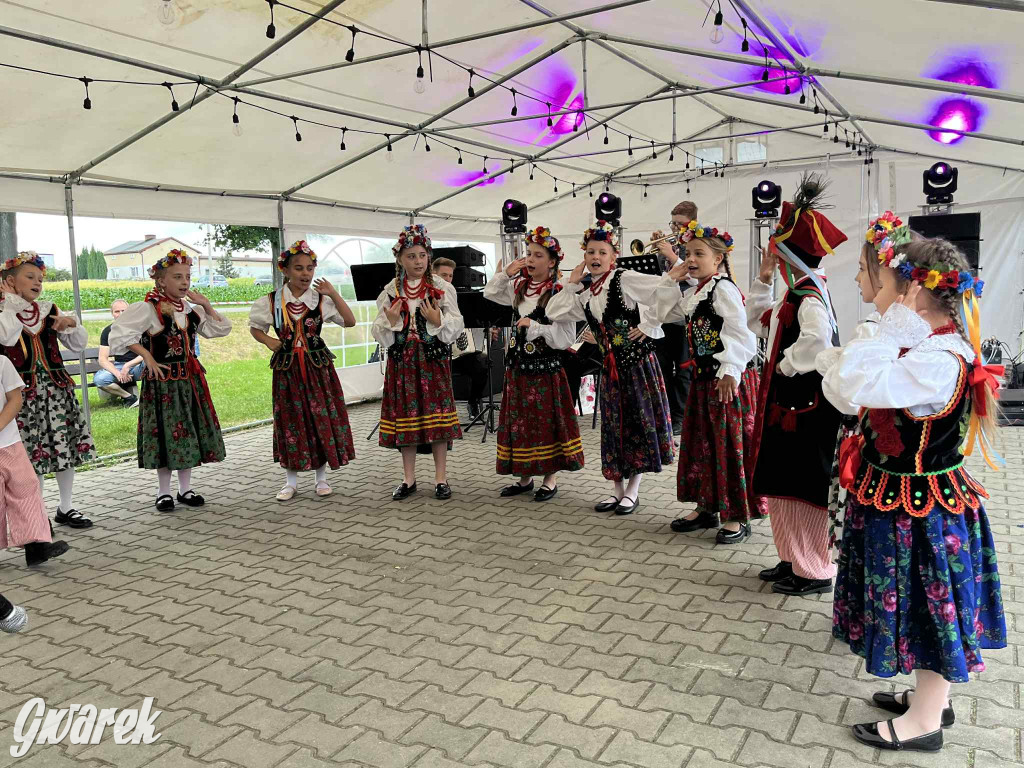 Druhowie z Wilkowic świętują jubileusz 90-lecia