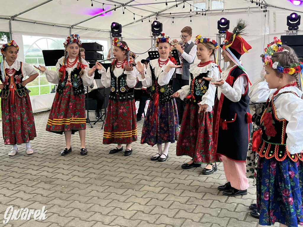 Druhowie z Wilkowic świętują jubileusz 90-lecia