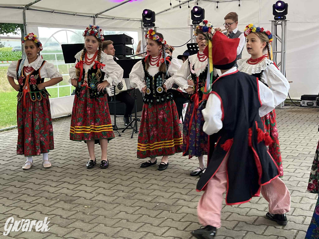 Druhowie z Wilkowic świętują jubileusz 90-lecia