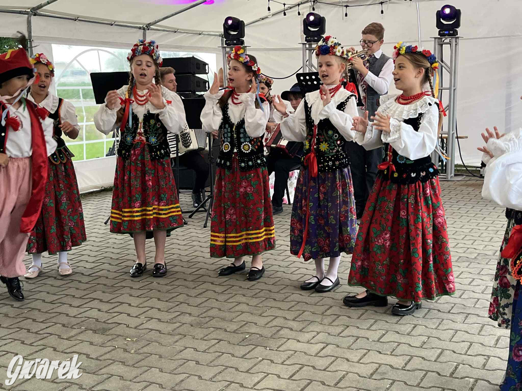 Druhowie z Wilkowic świętują jubileusz 90-lecia