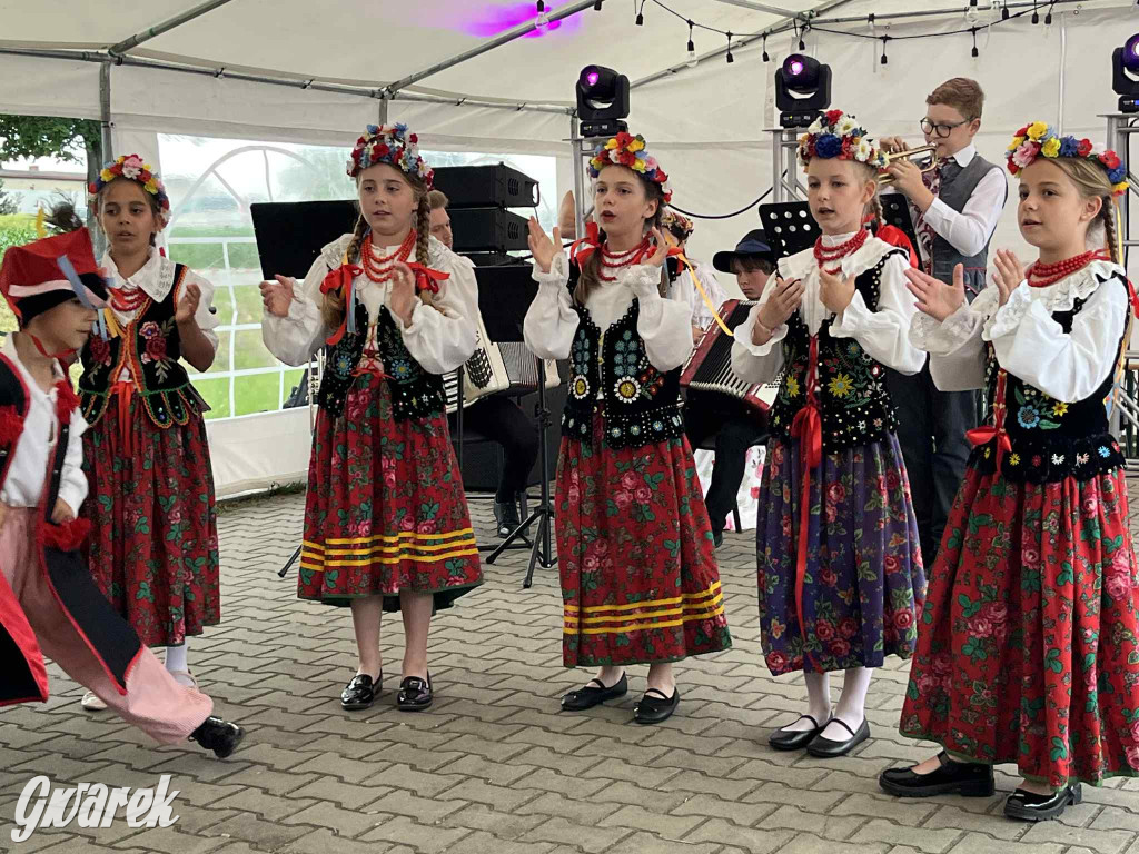 Druhowie z Wilkowic świętują jubileusz 90-lecia