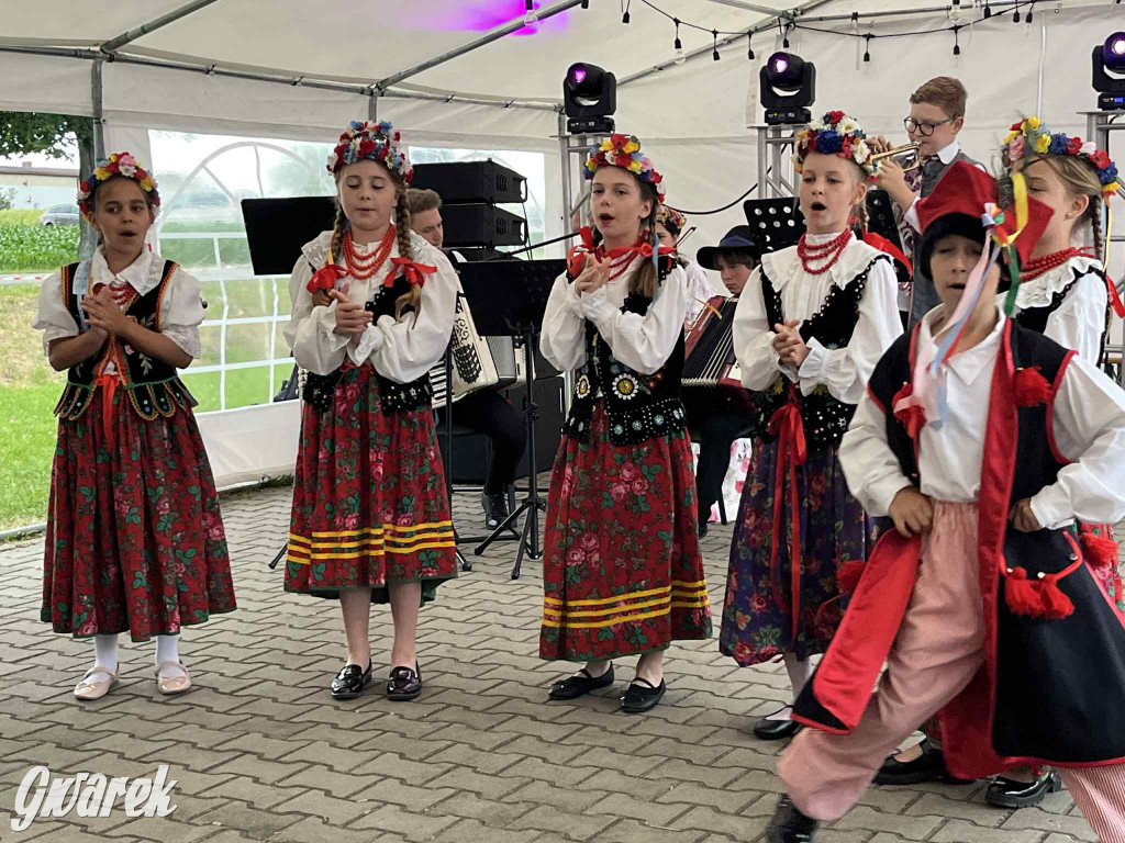 Druhowie z Wilkowic świętują jubileusz 90-lecia