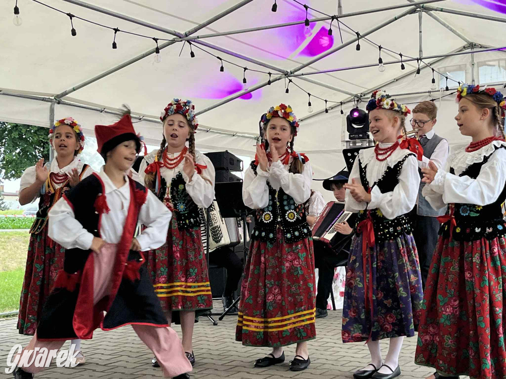 Druhowie z Wilkowic świętują jubileusz 90-lecia