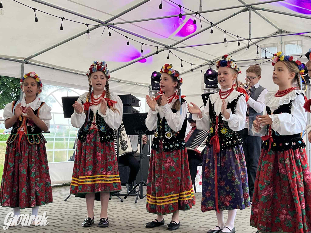 Druhowie z Wilkowic świętują jubileusz 90-lecia