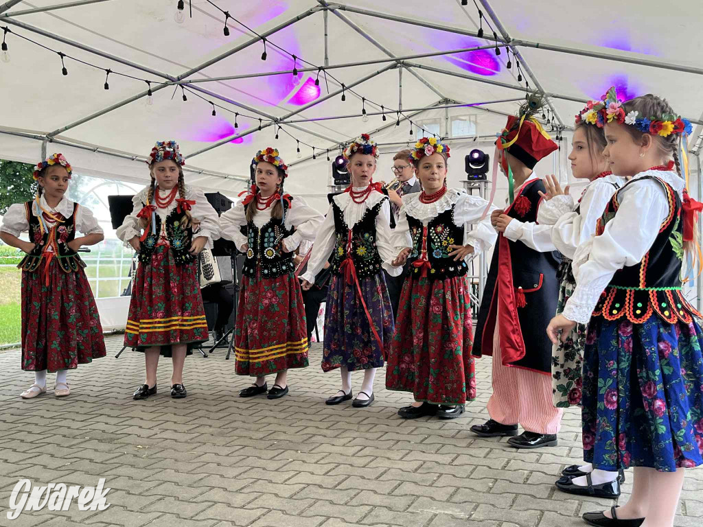 Druhowie z Wilkowic świętują jubileusz 90-lecia