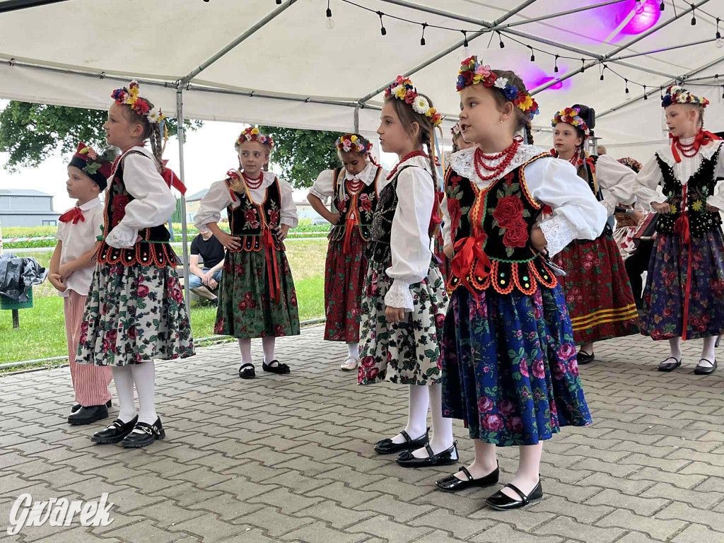 Druhowie z Wilkowic świętują jubileusz 90-lecia