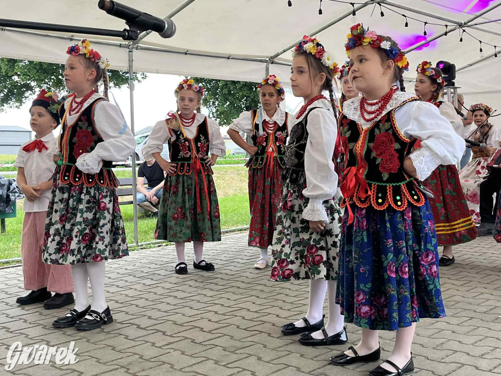 Druhowie z Wilkowic świętują jubileusz 90-lecia