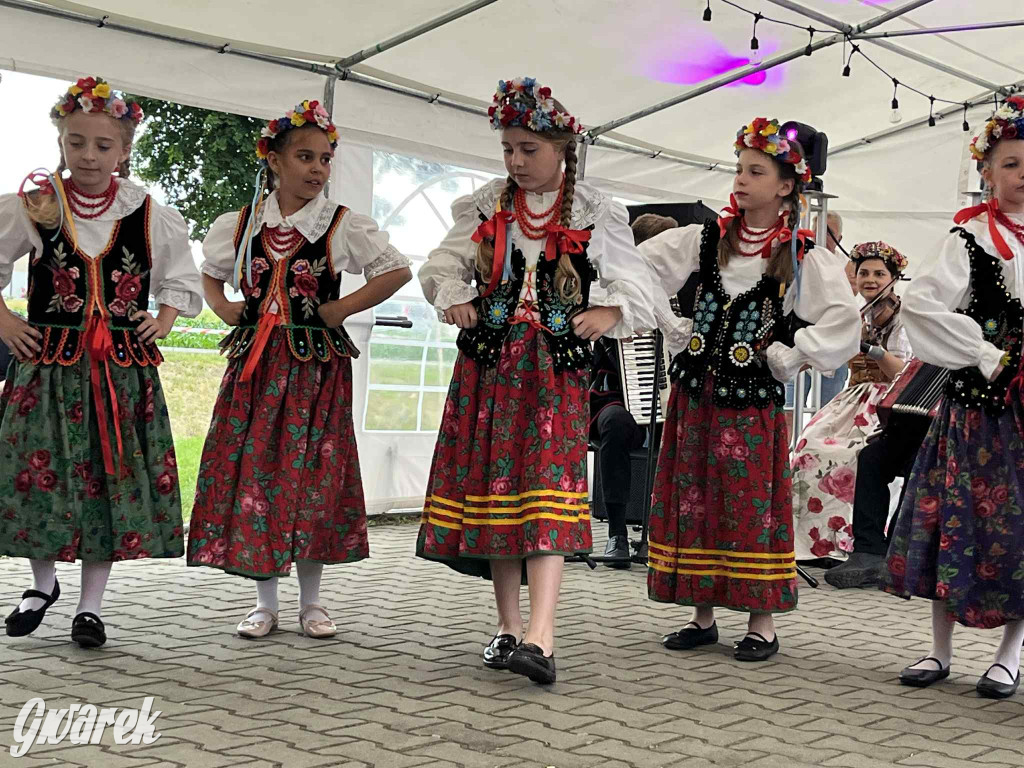 Druhowie z Wilkowic świętują jubileusz 90-lecia