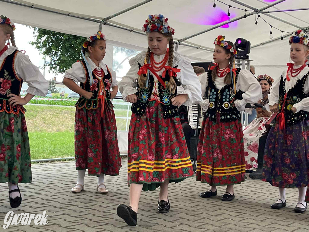 Druhowie z Wilkowic świętują jubileusz 90-lecia