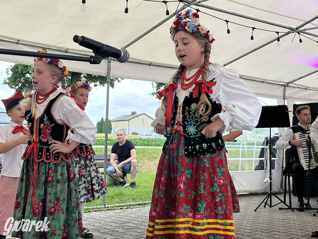 Druhowie z Wilkowic świętują jubileusz 90-lecia