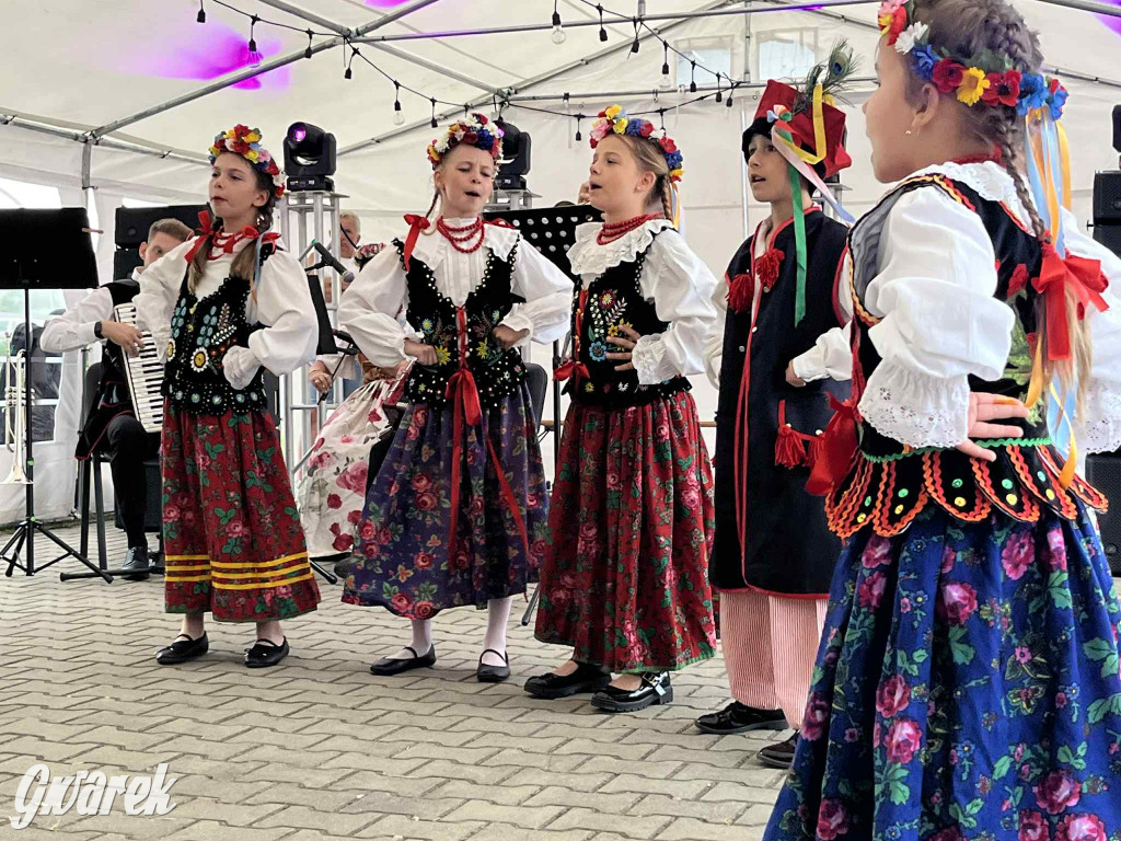 Druhowie z Wilkowic świętują jubileusz 90-lecia