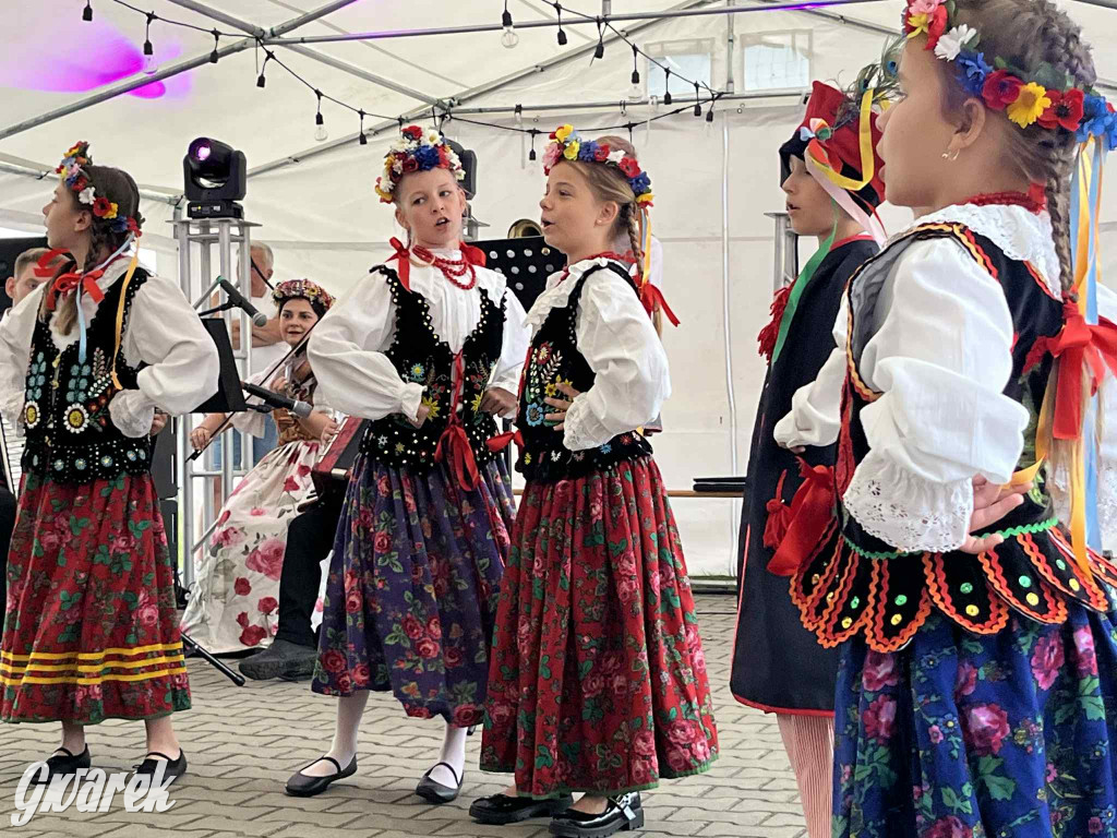 Druhowie z Wilkowic świętują jubileusz 90-lecia