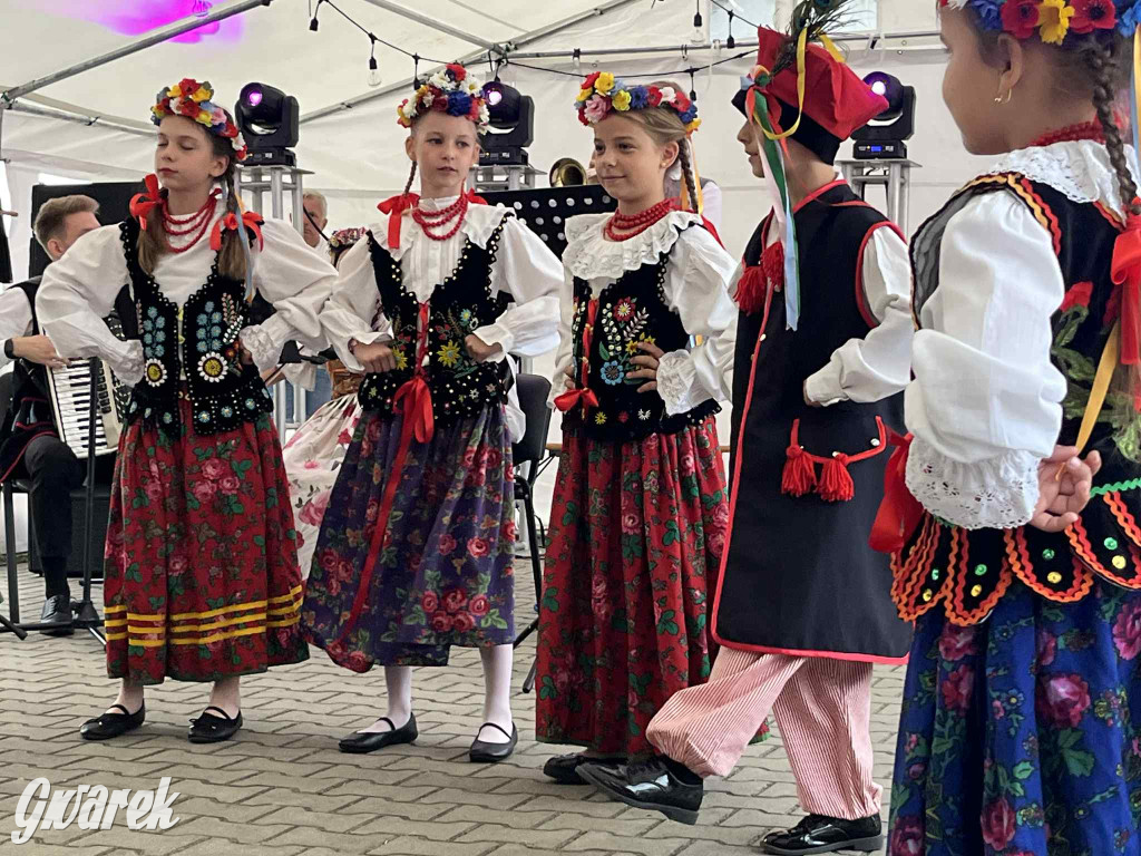 Druhowie z Wilkowic świętują jubileusz 90-lecia