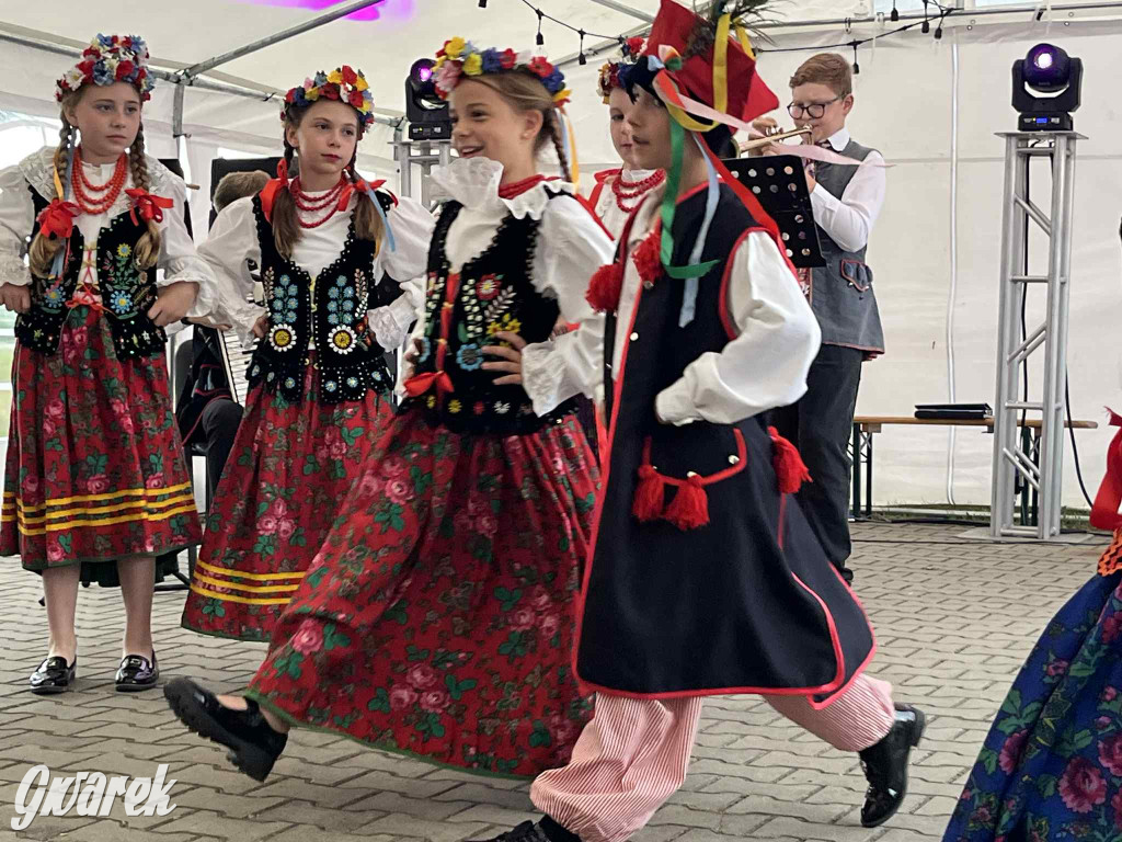 Druhowie z Wilkowic świętują jubileusz 90-lecia