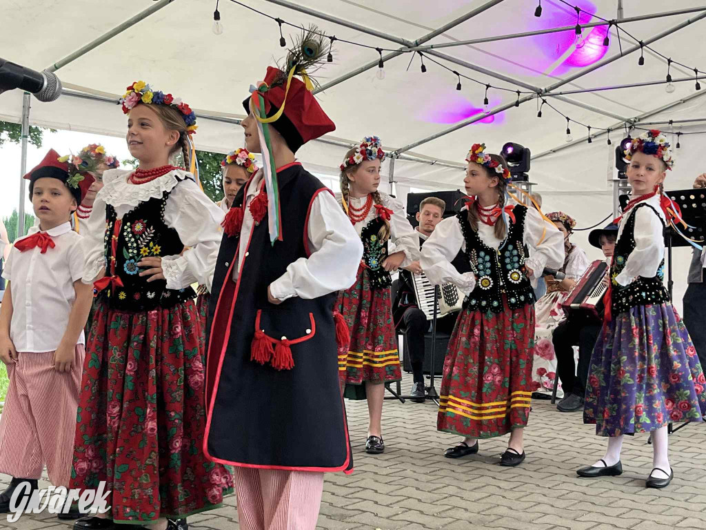 Druhowie z Wilkowic świętują jubileusz 90-lecia