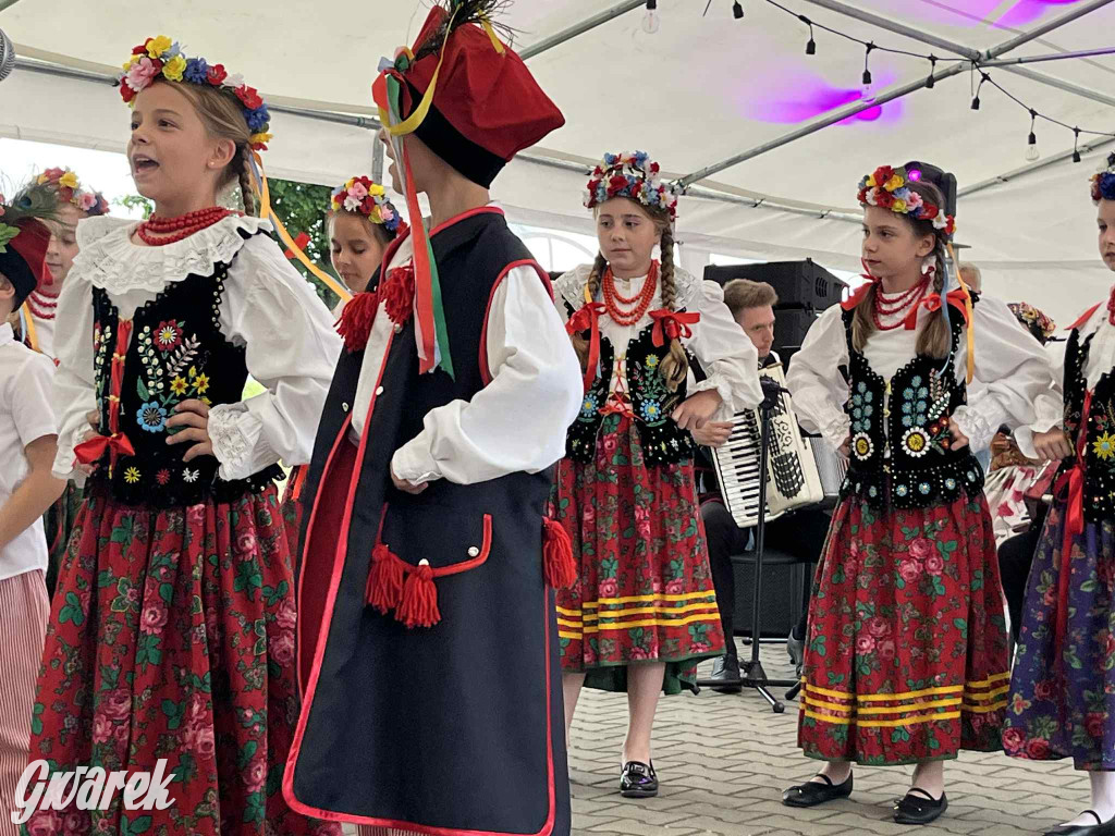 Druhowie z Wilkowic świętują jubileusz 90-lecia