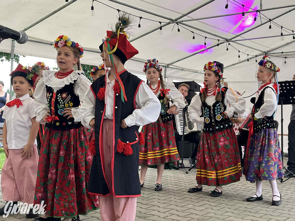 Druhowie z Wilkowic świętują jubileusz 90-lecia