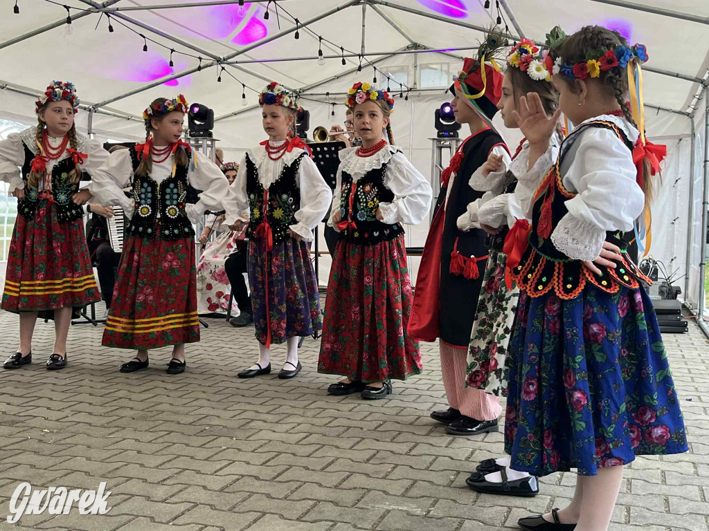 Druhowie z Wilkowic świętują jubileusz 90-lecia