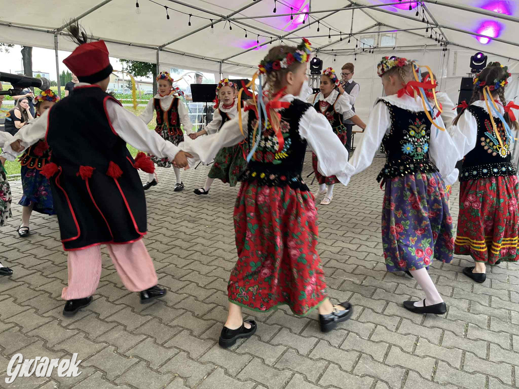 Druhowie z Wilkowic świętują jubileusz 90-lecia