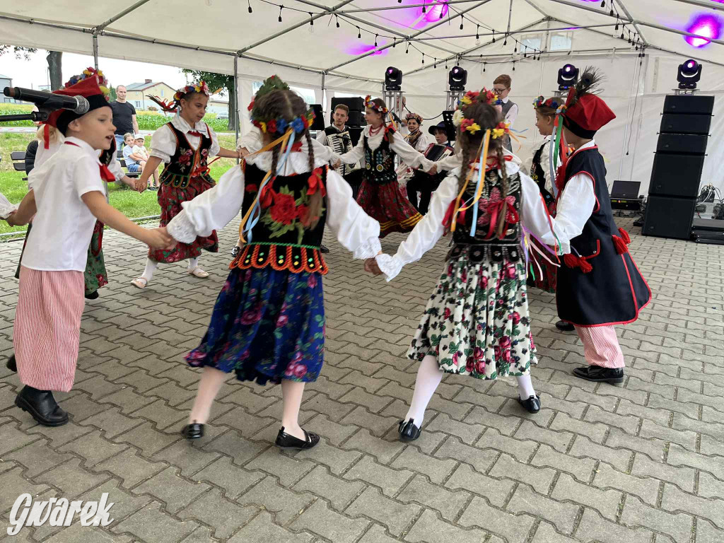 Druhowie z Wilkowic świętują jubileusz 90-lecia