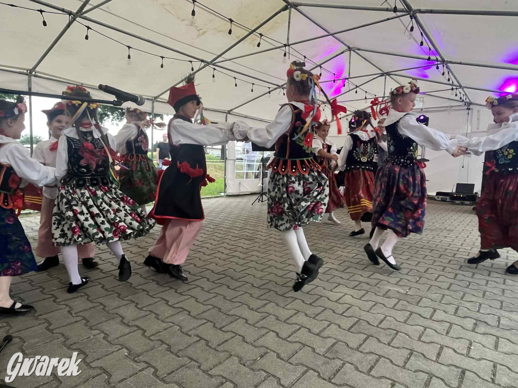 Druhowie z Wilkowic świętują jubileusz 90-lecia