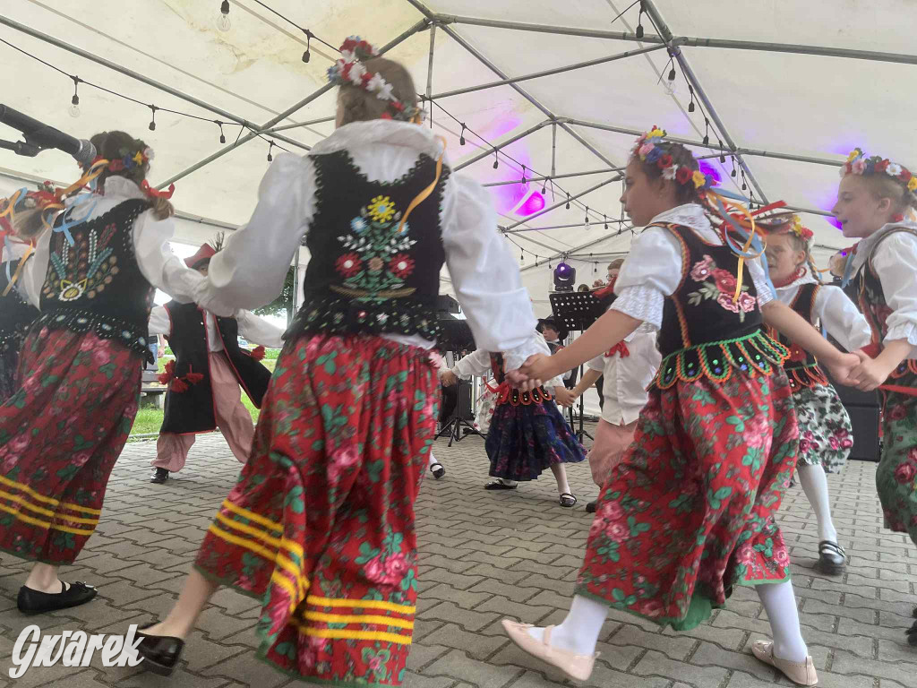 Druhowie z Wilkowic świętują jubileusz 90-lecia