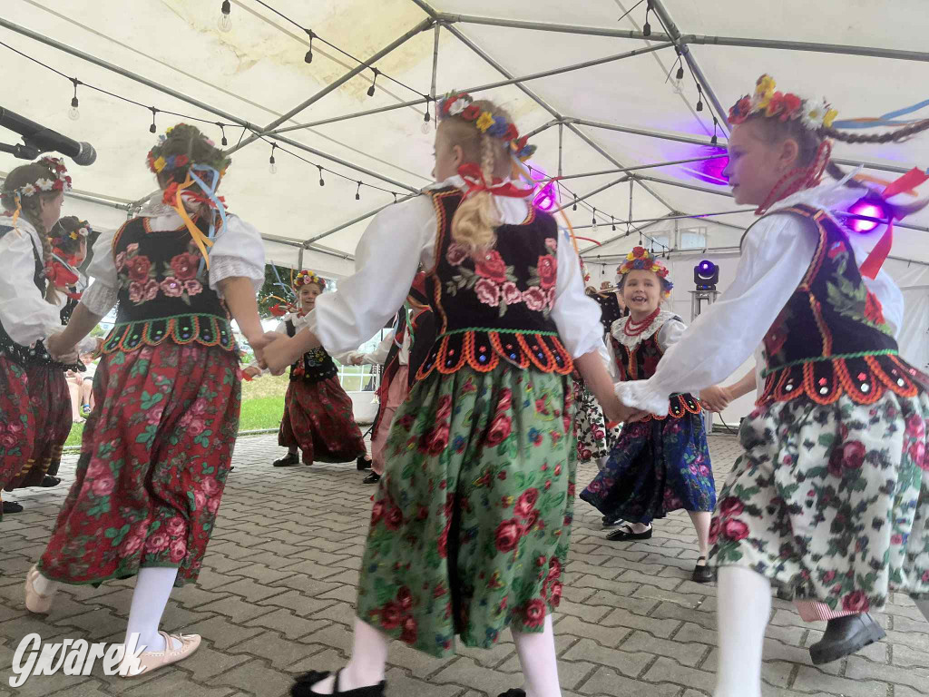 Druhowie z Wilkowic świętują jubileusz 90-lecia