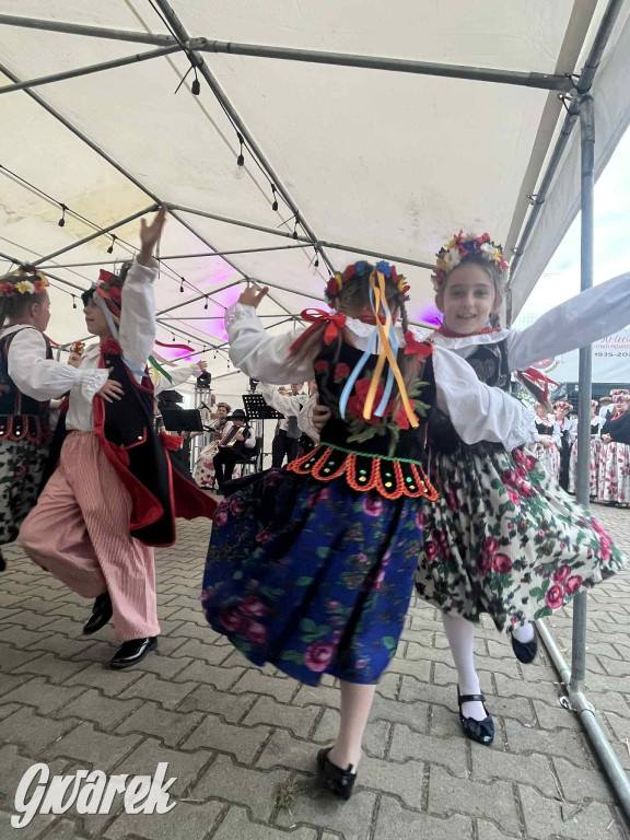 Druhowie z Wilkowic świętują jubileusz 90-lecia