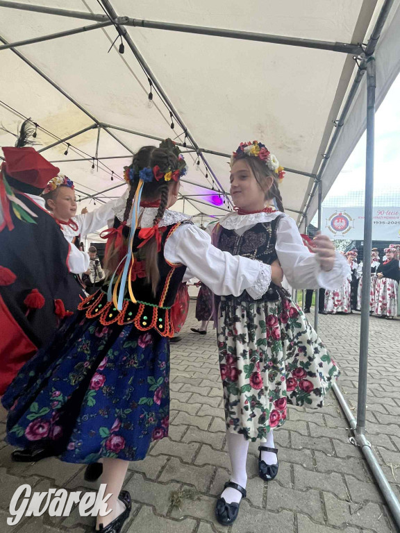 Druhowie z Wilkowic świętują jubileusz 90-lecia