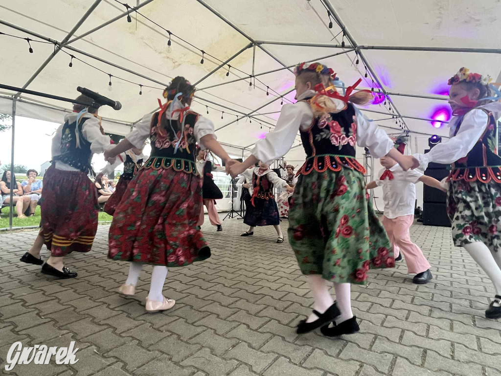 Druhowie z Wilkowic świętują jubileusz 90-lecia